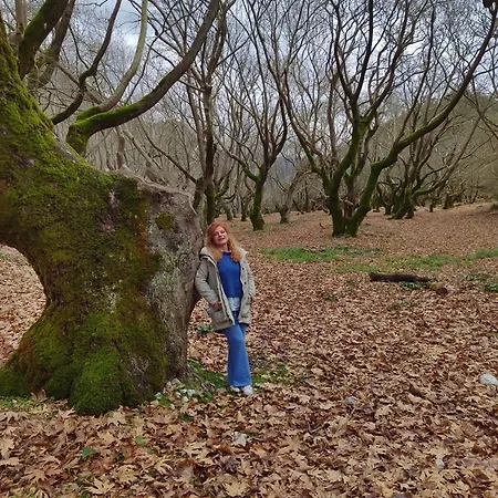 Villa Kleitor Stone Villa-peloponnese Getaway *