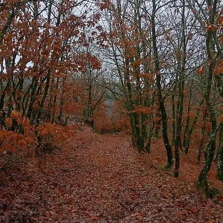 Villa Kleitor Stone Villa-peloponnese Getaway Klitoria