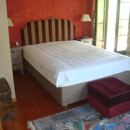 Villa Kleitor Stone Villa-peloponnese Getaway *
