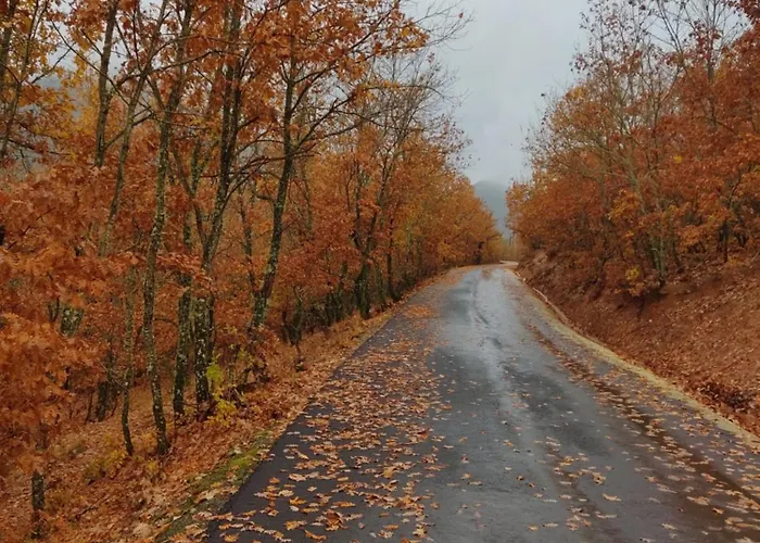 Kleitor Stone Villa-peloponnese Getaway * 克里多利亚