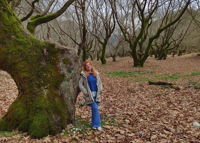 别墅 Kleitor Stone Villa-peloponnese Getaway *