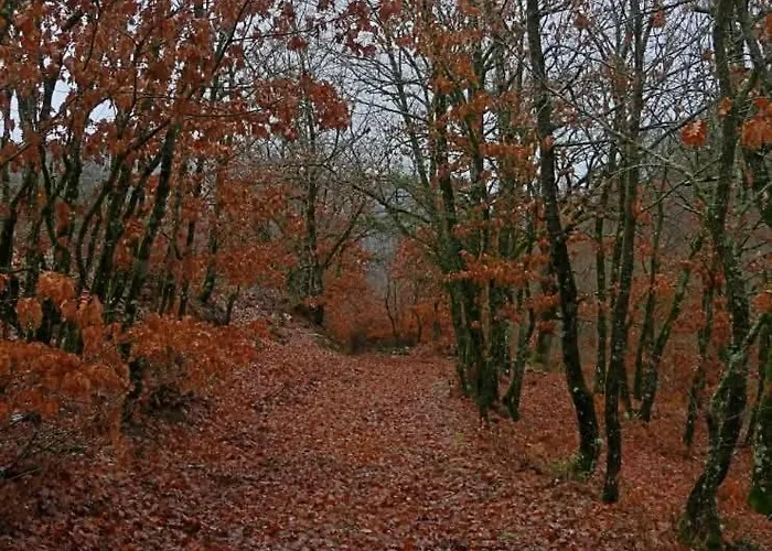 别墅 Kleitor Stone Villa-peloponnese Getaway 克里多利亚